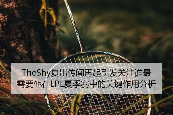 TheShy复出传闻再起引发关注谁最需要他在LPL夏季赛中的关键作用分析